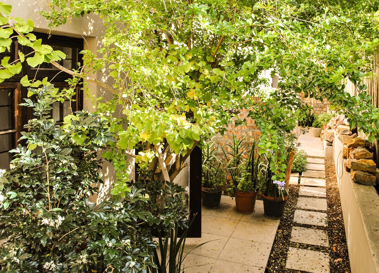 Wessels House Studio Cape Town Dış mekan fotoğraf